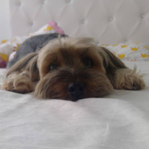 Meet your Posher, Adriana